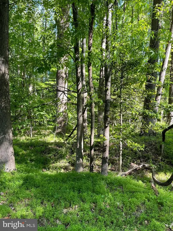 8012 Poplar Hill Dr, CLINTON, MD 20735