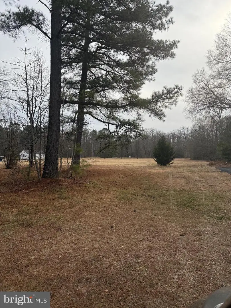 4711 Danville Rd, Brandywine, MD 20613 - Image #3