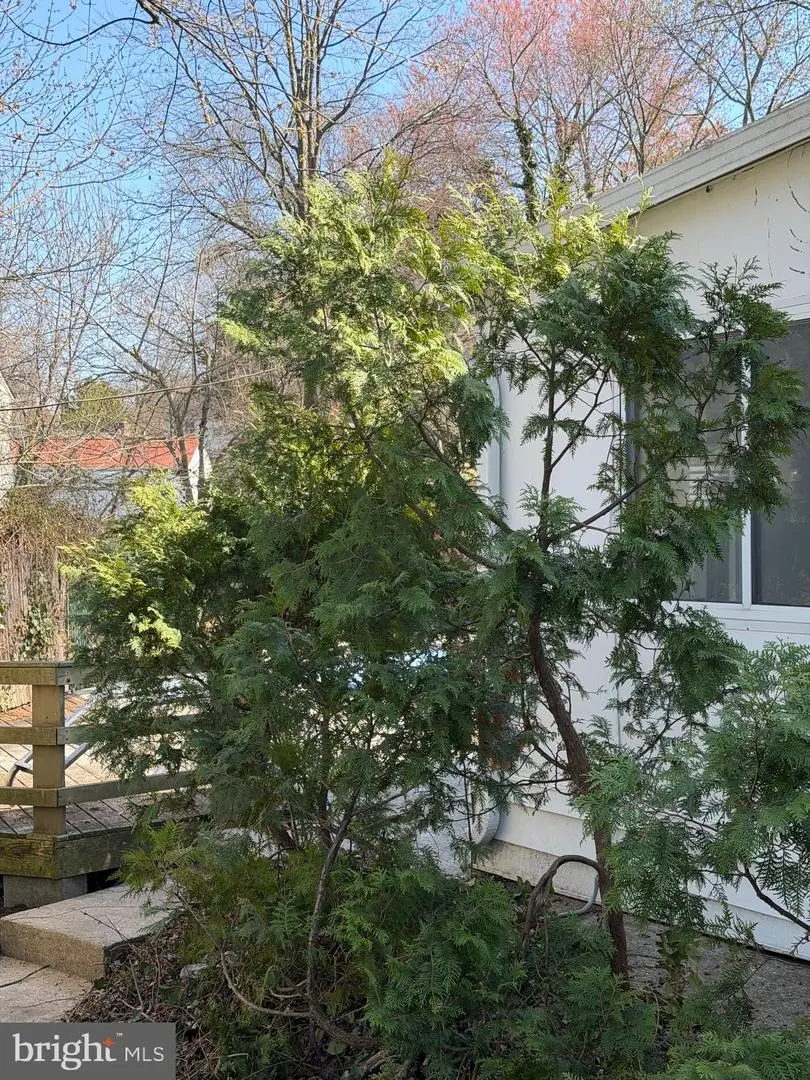 3307 Rutgers St, Hyattsville, MD 20783 - #2