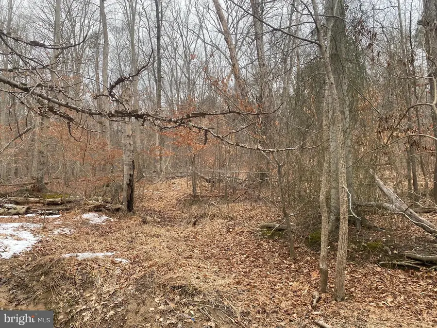 14313 Jericho Park Rd, Bowie, MD 20715 - #2