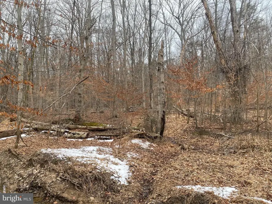 14313 Jericho Park Rd, Bowie, MD 20715 - #3