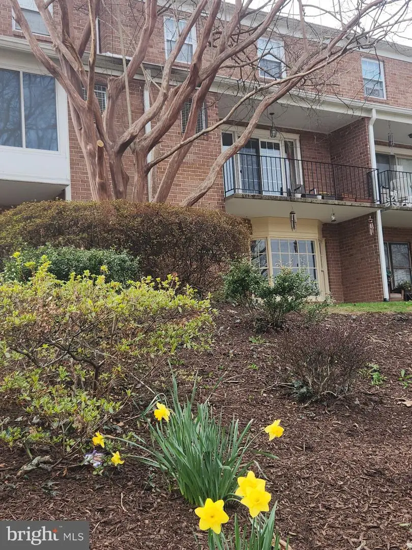 7748 Lakecrest Dr, Greenbelt, MD 20770 - #2