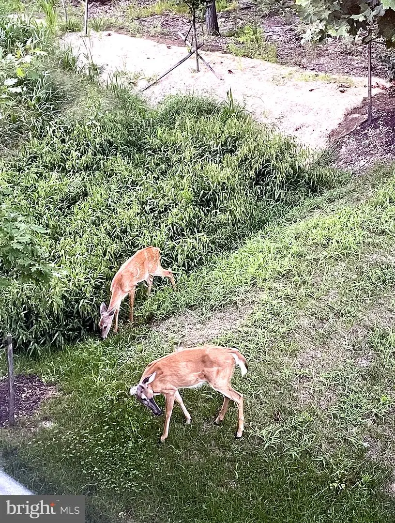 6510 Spoonbill Way, Clinton, MD 20735 - #3