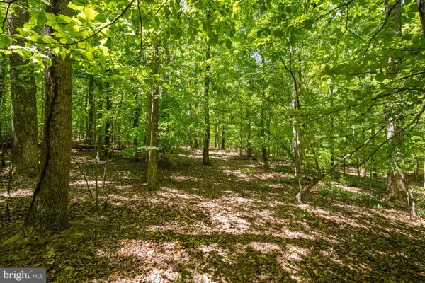 Letcher Rd, BRANDYWINE, MD 20613