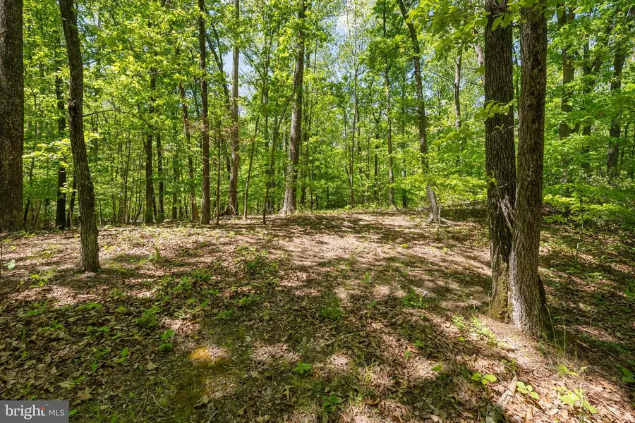 Letcher Rd, Brandywine, MD 20613 - #2
