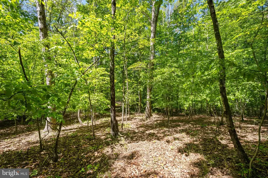 Letcher Rd, Brandywine, MD 20613 - #3