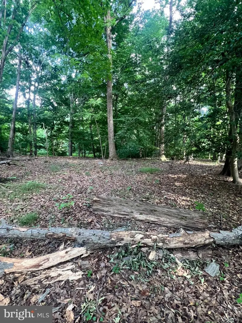 12955 Old Fort Rd, Fort Washington, MD 20744 - #3