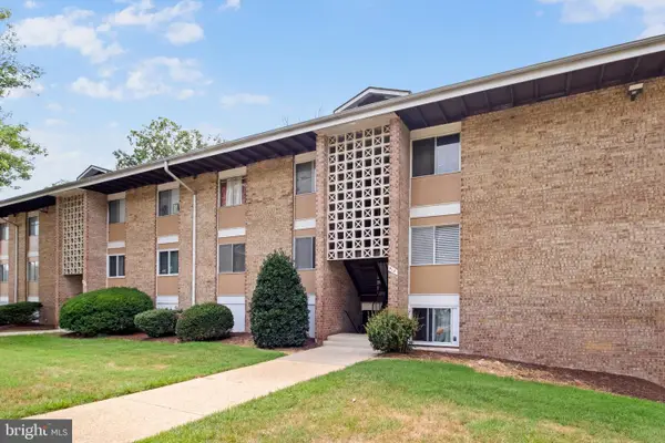 512 Wilson Bridge Dr #6713b, OXON HILL, MD 20745