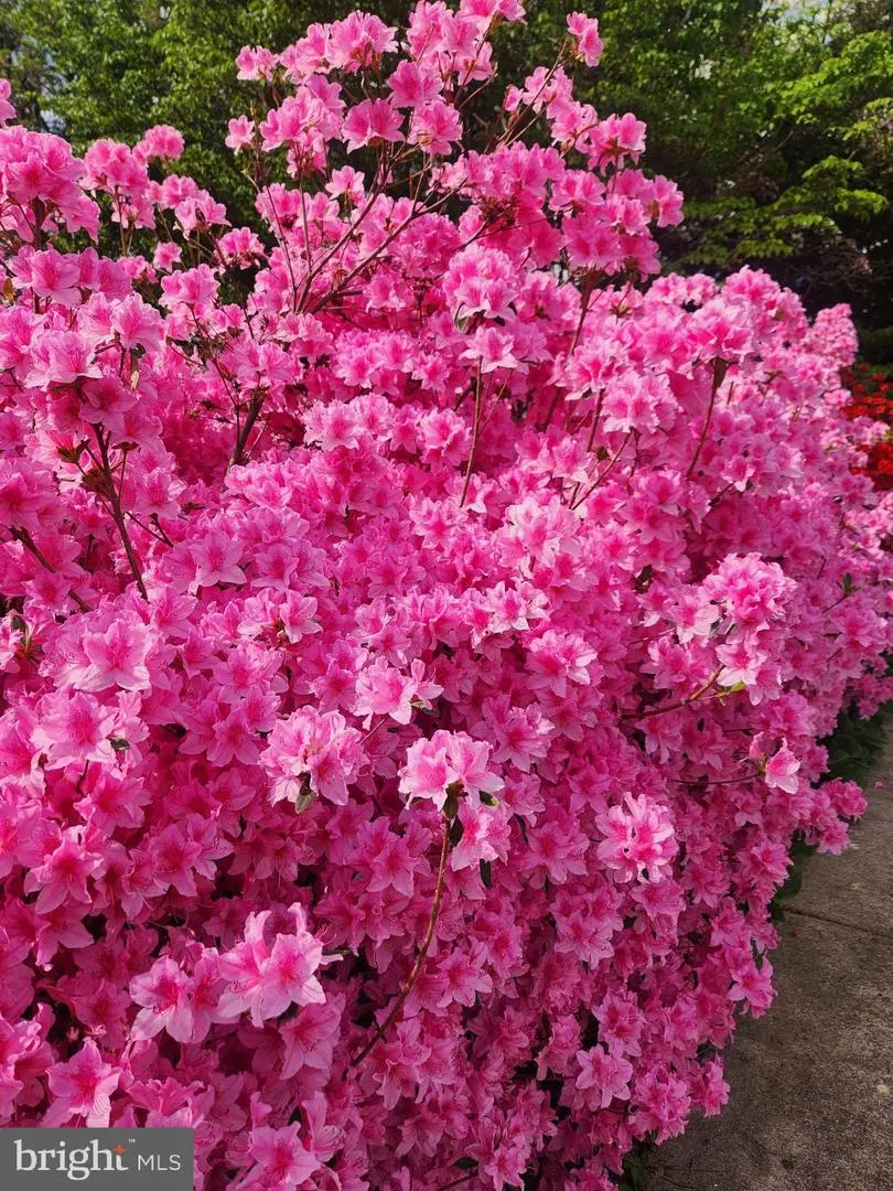 3003 Sunset Ln #3003, Suitland, MD 20746 - #1