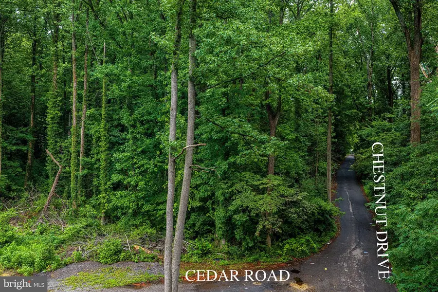 13304 Chestnut Dr, Bowie, MD 20720 - #3