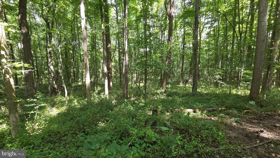 12223 Molly Berry Rd., Upper Marlboro, MD 20772 - #3