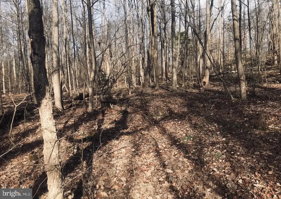 Van Brady Rd, Upper Marlboro, MD 20772 - #3