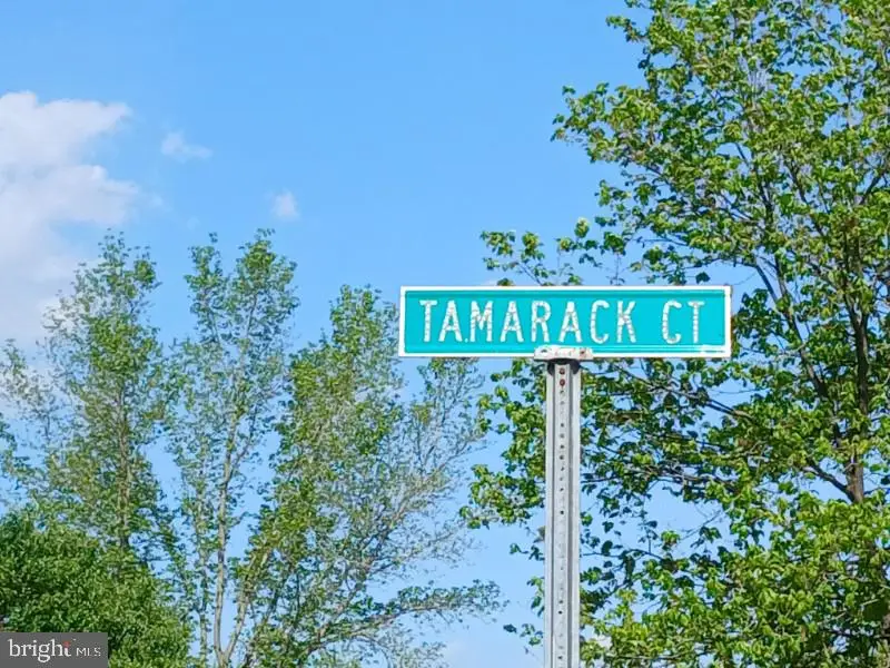 304 Tamerack Ct, Upper Marlboro, MD 20774 - #3