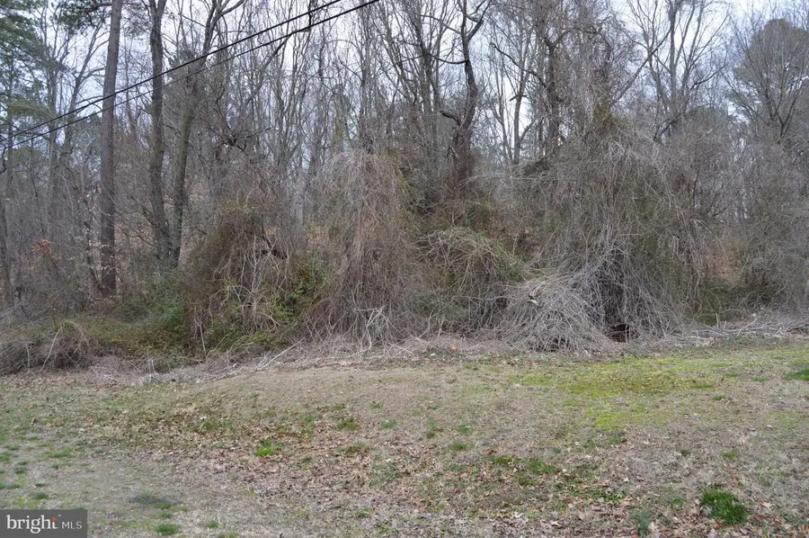 Brownsville Rd, Centreville, MD 21617 - Image #2