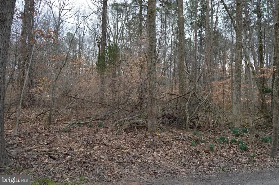 Brownsville Rd, Centreville, MD 21617 - Image #3