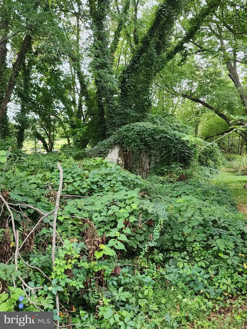 Parks Rd, Chester, MD 21619 - Image #3