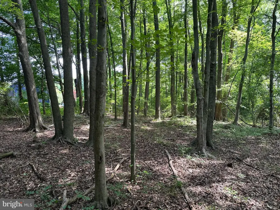 Lot 7 Maple Dr #lot 7, Stevensville, MD 21666 - Image #2