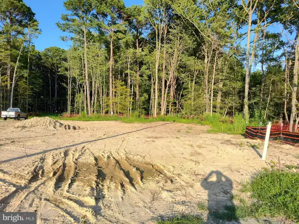 155 Sawmill Ln, GRASONVILLE, MD 21638