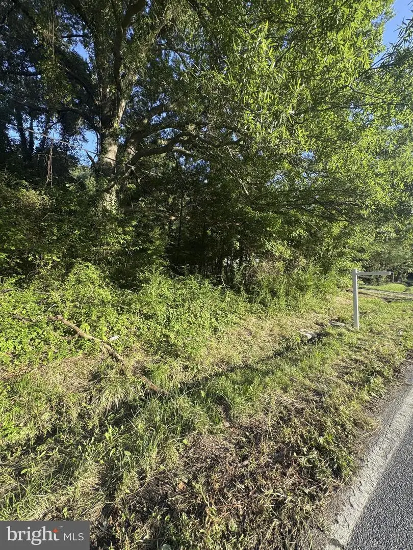 1709 Batts Neck Rd, Stevensville, MD 21666 - Image #1