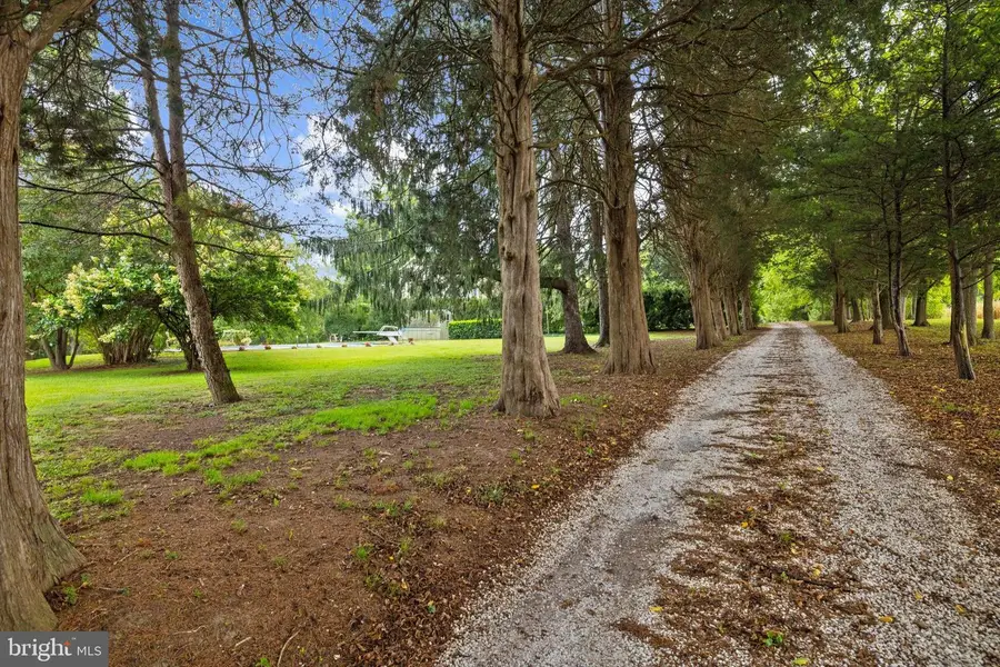 111 Mt Mills Ln, Queenstown, MD 21658 - Image #3