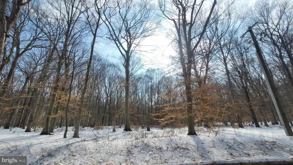 262 White Marsh Rd, CENTREVILLE, MD 21617