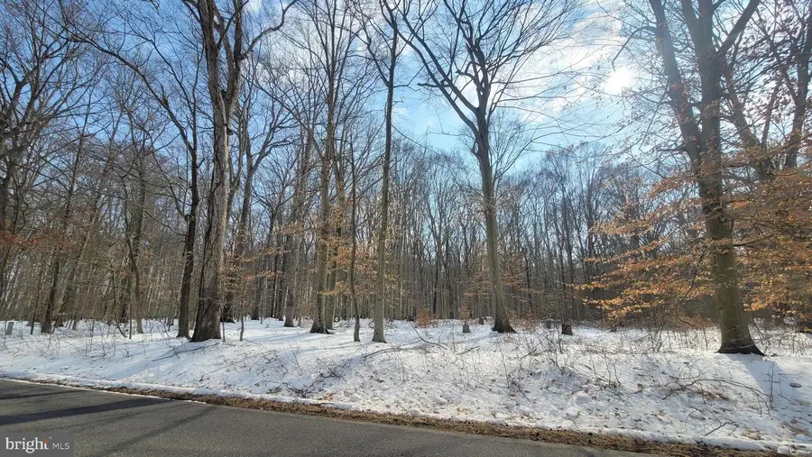 262 White Marsh Rd, Centreville, MD 21617 - #2