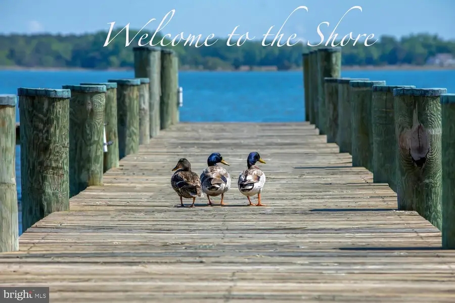 136 Condor Ct, Church Hill, MD 21623 - #3