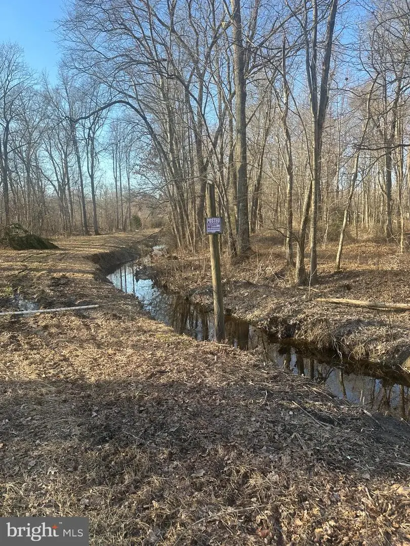 Big Woods Rd, Church Hill, MD 21623 - #2