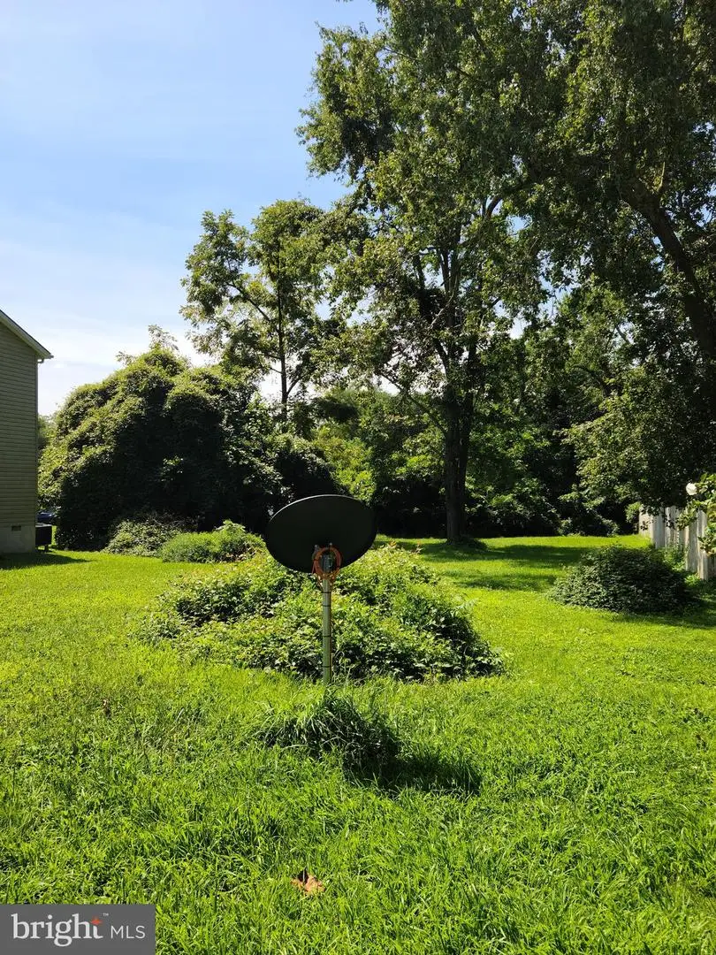 212 Little Kidwell Ave, Centreville, MD 21617 - #2