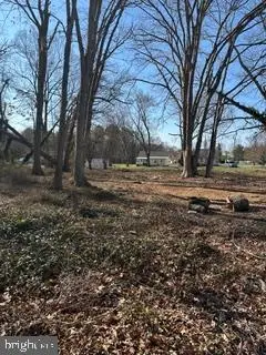Lot #1 Harley Ln, Chester, MD 21619 - #3