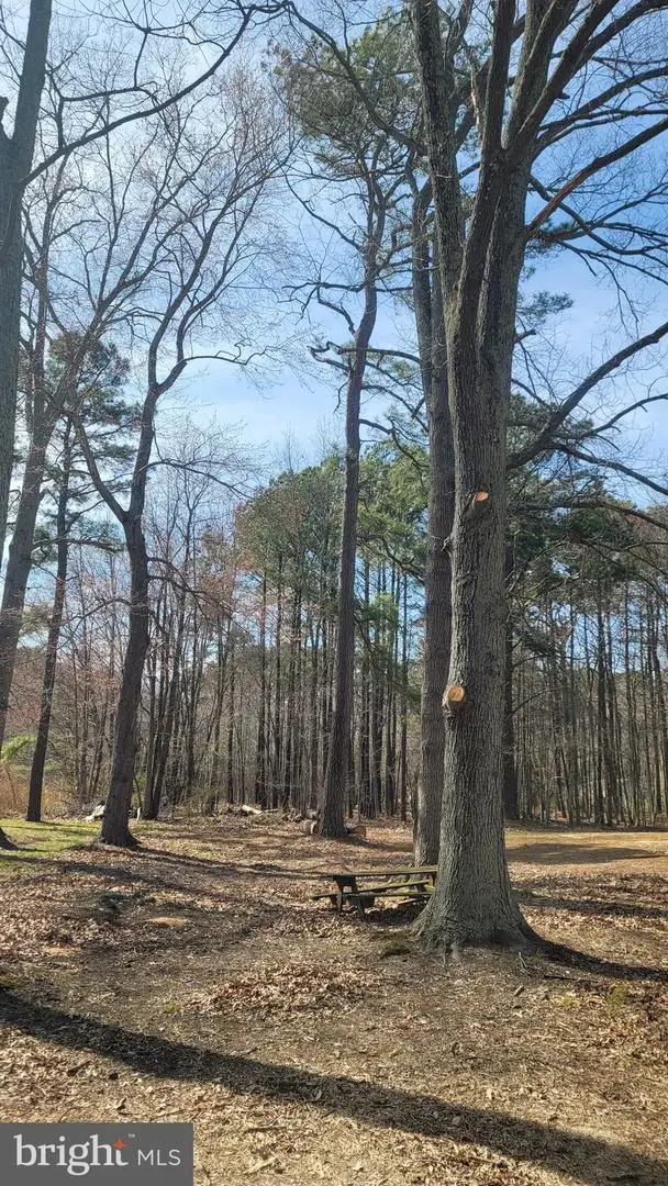 Forest Rd, Grasonville, MD 21638 - #2