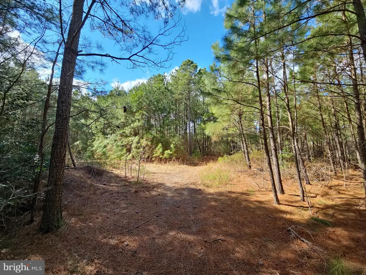 Romancoke Rd, Stevensville, MD 21666 - #1