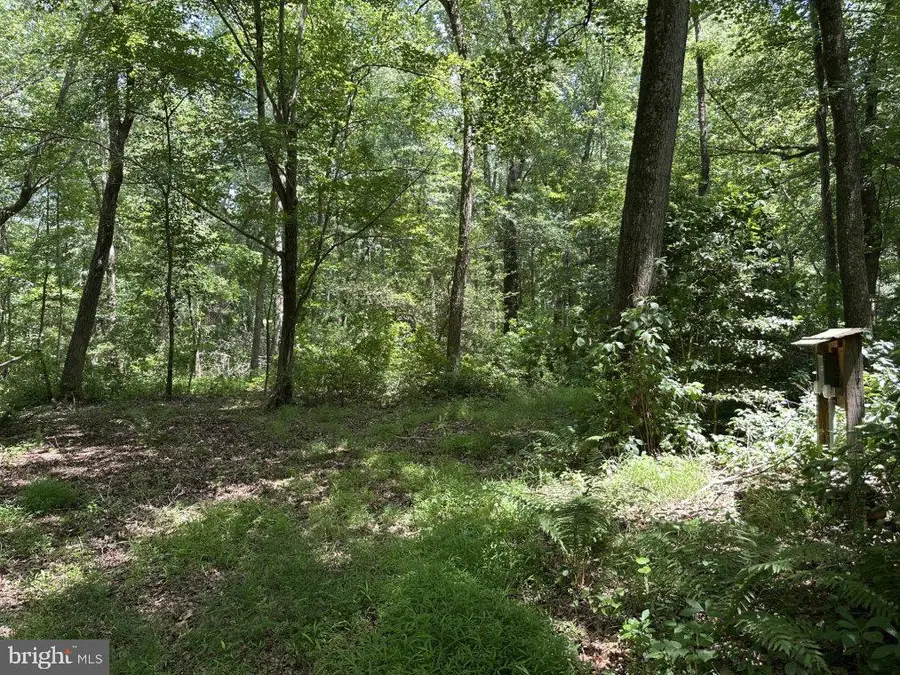 Peters Corner Rd, Sudlersville, MD 21668 - #2