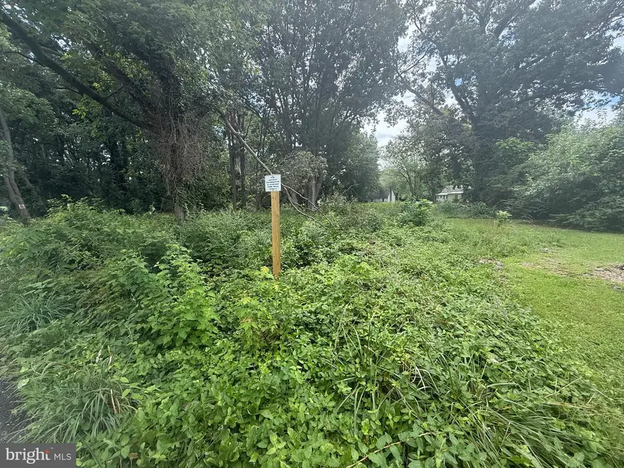 Harley Ln #lot 1, Chester, MD 21619 - #2