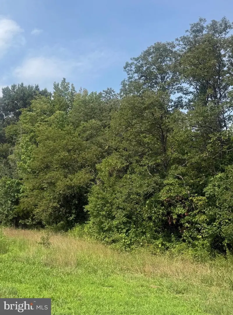 Parcel 73 Barclay Rd, Barclay, MD 21607 - #1