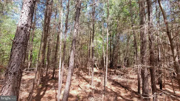 48560 Evergreen Park Rd, LEXINGTON PARK, MD 20653