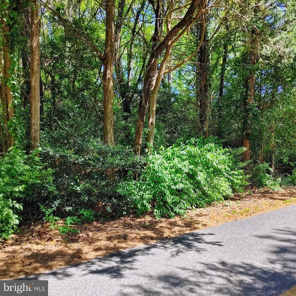 17778 Rosecroft Rd, Lexington Park, MD 20653 - Image #1