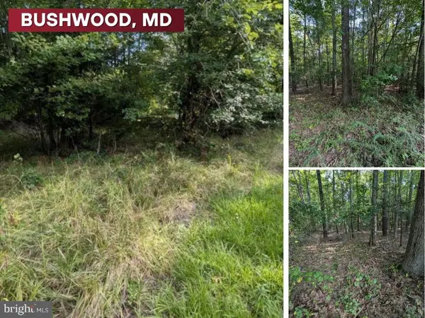 36810 Bushwood Drive, BUSHWOOD, MD 20618