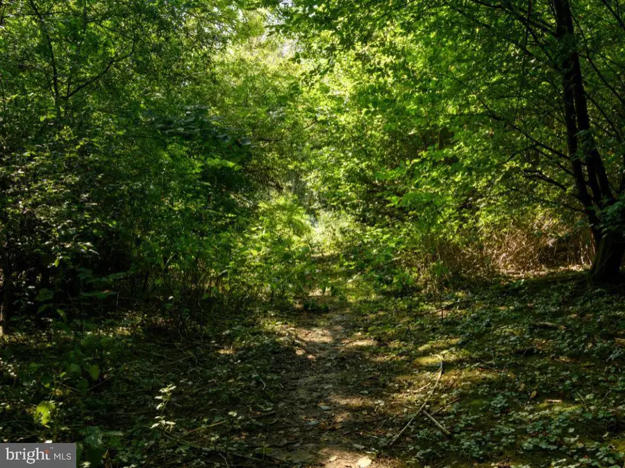 26218 Diplomat Circle, Mechanicsville, MD 20659 - Image #2