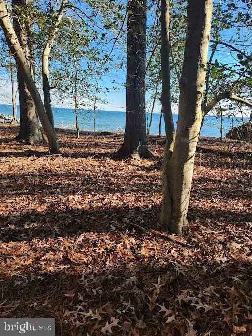 18500 Shipwreck Way, Dameron, MD 20628 - Image #2