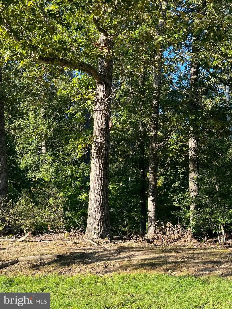 38310 Pleasant View Dr, Charlotte Hall, MD 20622 - Image #3