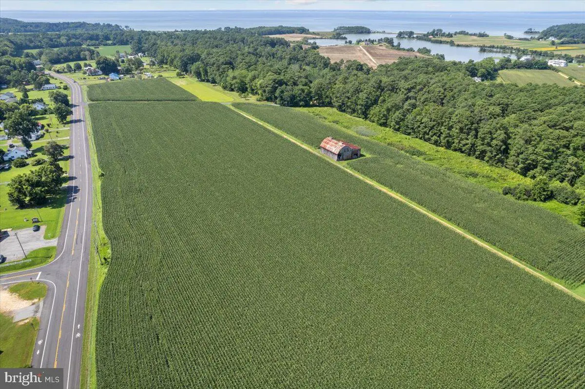 49430 Harry James, Ridge, MD 20680 - Image #1