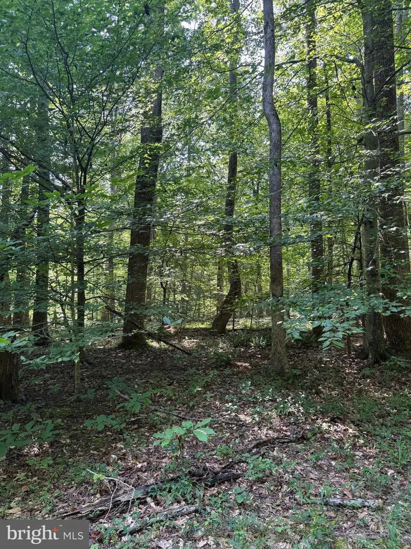 Cat Creek Rd, Mechanicsville, MD 20659 - Image #2