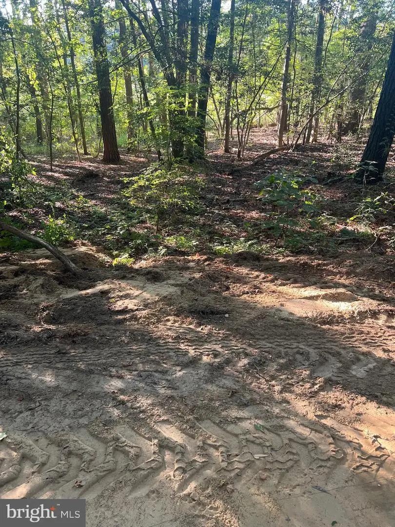 19921 Tower Hill Rd, Leonardtown, MD 20650 - Image #2