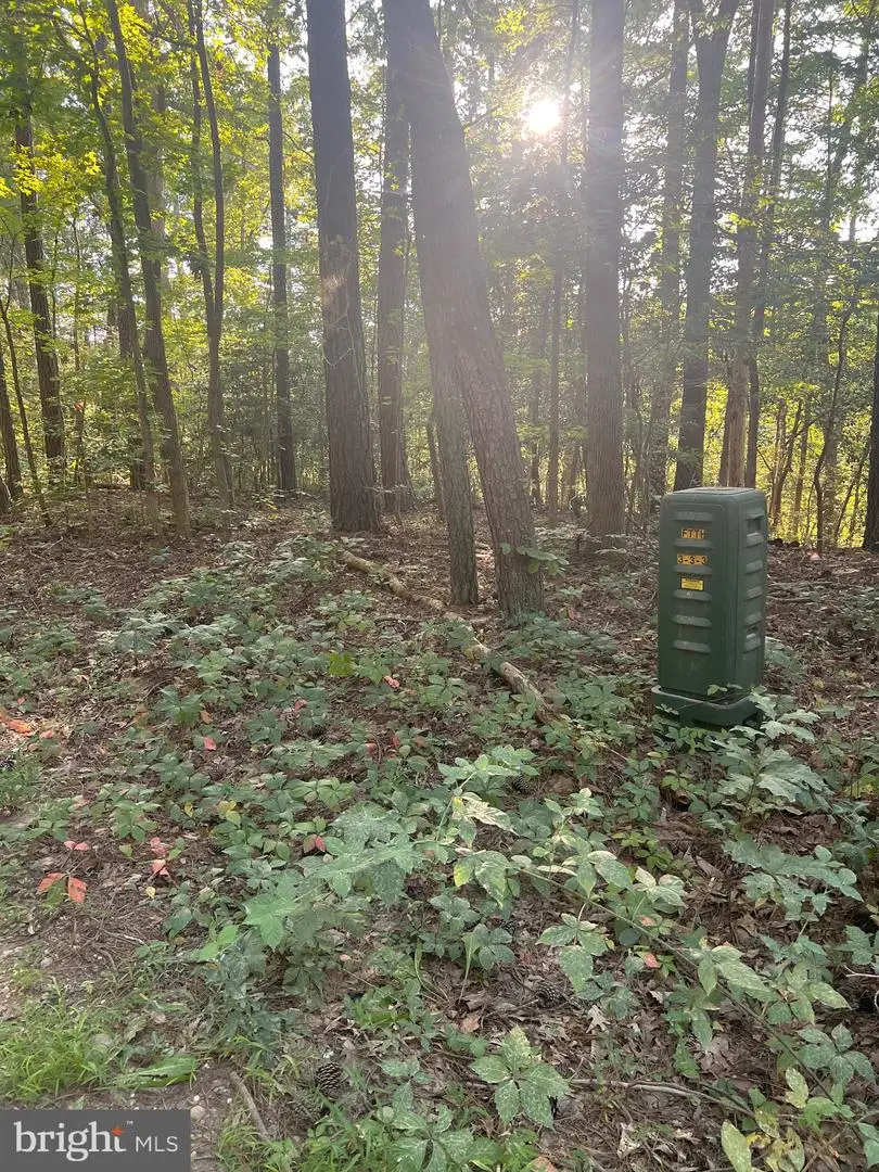 19921 Tower Hill Rd, Leonardtown, MD 20650 - Image #3