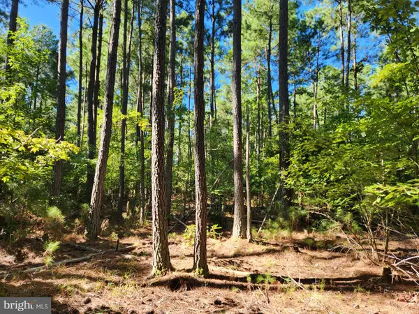 Fresh Pond Neck Rd, RIDGE, MD 20680