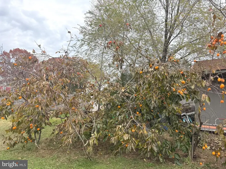 21660 N Essex Dr, Lexington Park, MD 20653 - Image #3