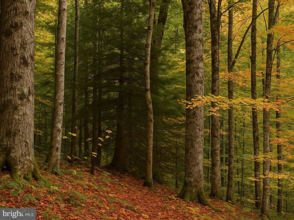 35296 Diplomat, Mechanicsville, MD 20659 - Image #1