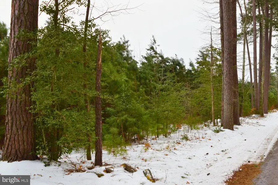 Jutland Rd, Saint Inigoes, MD 20684 - #3