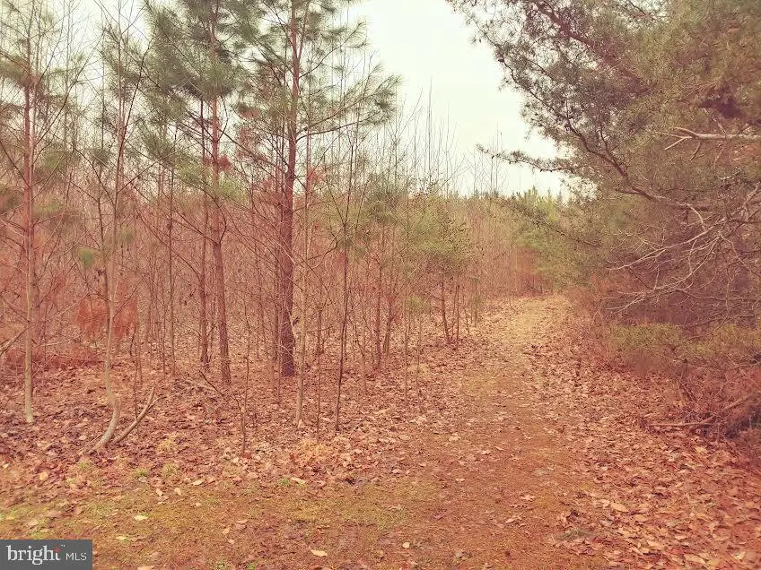 27425 Adams Ln, Mechanicsville, MD 20659 - #1